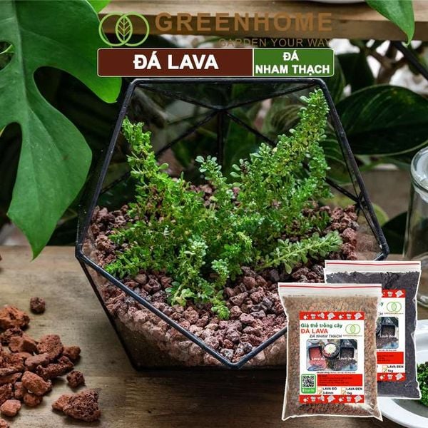 Đá Lava, bao 1kg, đá nham thạch màu đỏ, đen, size 3-6mm, sạch bụi, cho thủy sinh, bonsai, sen đá |Greenhome