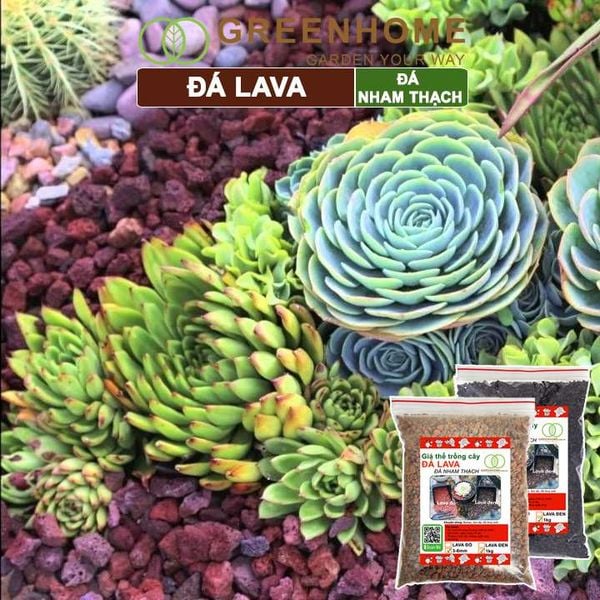 Đá Lava, bao 1kg, đá nham thạch màu đỏ, đen, size 3-6mm, sạch bụi, cho thủy sinh, bonsai, sen đá |Greenhome
