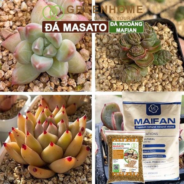 Đá khoáng Masato, size 3-6mm, bao 500gr, chuyên rải mặt kiểng lá, xương rồng, đậm màu sen đá |Greenhome