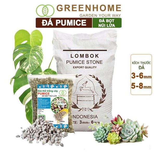 Đá Pumice, đá bọt núi lửa, lót chậu, trộn đất sen đá, xương rồng, phong lan, nhiều size lựa chọn |Greenhome