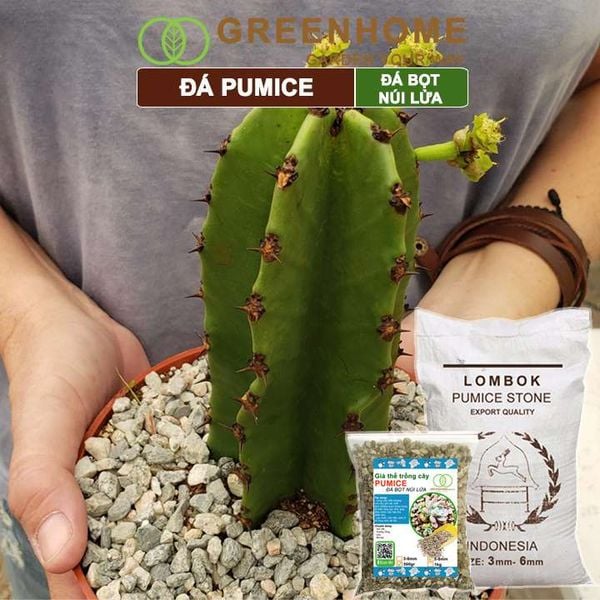 Đá Pumice size 5-8mm, bao 500gr, đá bọt núi lửa, lót chậu nhỏ, trộn đất trồng sen đá xương rồng, trồng Lan |Greenhome