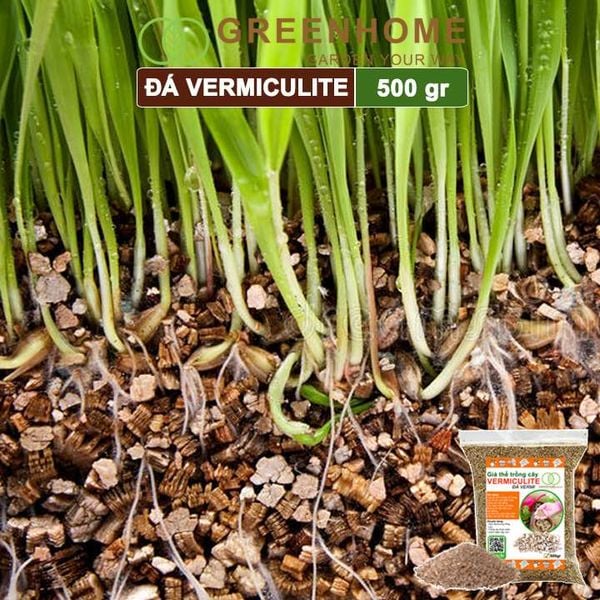 Đá Vermiculite (vơ mi), bao 500gr, ươm hạt giống, trồng rau mầm, đất hoa hồng, sen đá, thuỷ canh |Greenhome