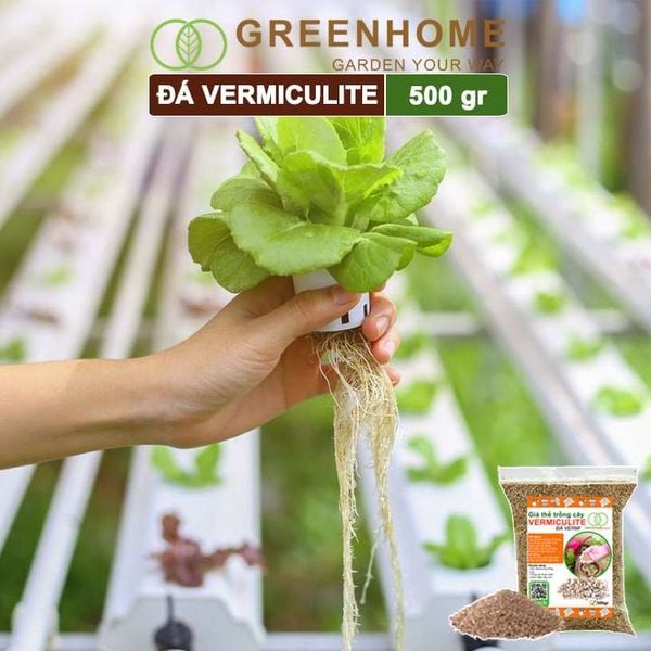 Đá Vermiculite (vơ mi), bao 500gr, ươm hạt giống, trồng rau mầm, đất hoa hồng, sen đá, thuỷ canh |Greenhome