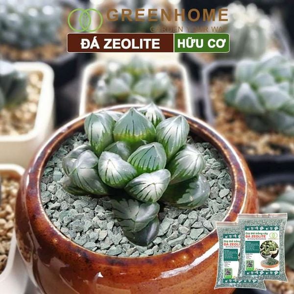 Đá zeolite Greenhome, bao 1kg, size 3-6mm, rãi mặt, giá thể, sen đá, xương rồng, hồ thuỷ sinh