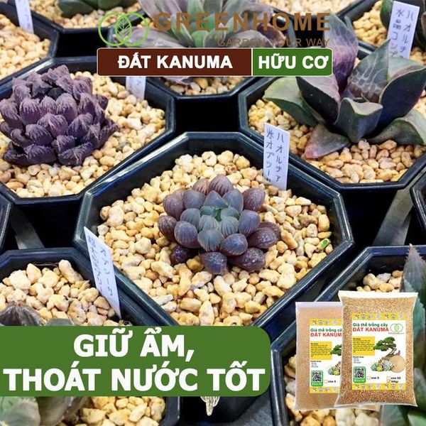 Đất trồng Kanuma, bao 500gr, dùng rải mặt, giá thể trồng sen đá, bonsai, đỗ quyên, nhiều kích thước