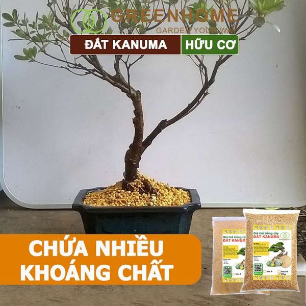 Đất trồng Kanuma, bao 500gr, dùng rải mặt, giá thể trồng sen đá, bonsai, đỗ quyên, nhiều kích thước