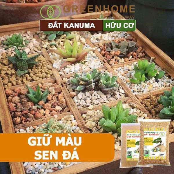 Đất trồng Kanuma, bao 500gr, dùng rải mặt, giá thể trồng sen đá, bonsai, đỗ quyên, nhiều kích thước
