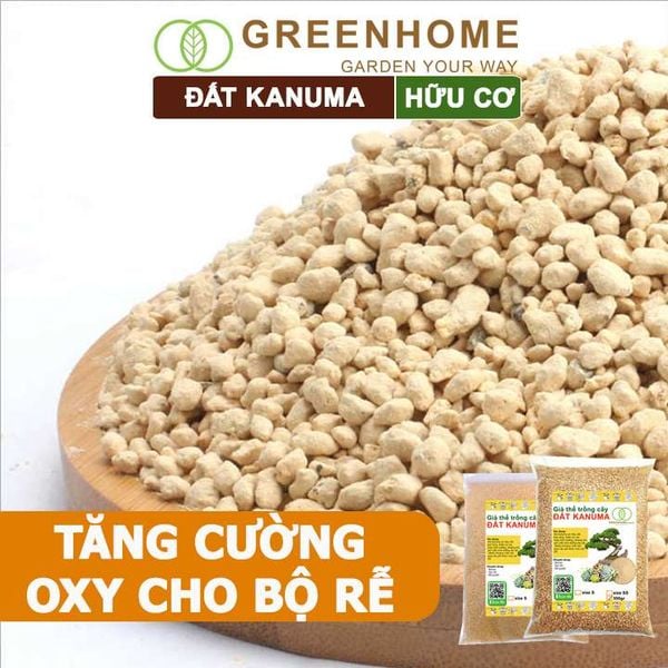 Đất trồng Kanuma, bao 500gr, dùng rải mặt, giá thể trồng sen đá, bonsai, đỗ quyên, nhiều kích thước