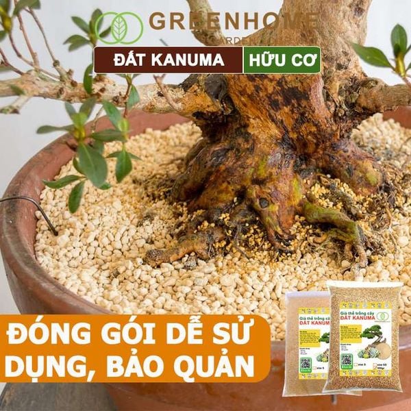 Đất trồng Kanuma, bao 500gr, dùng rải mặt, giá thể trồng sen đá, bonsai, đỗ quyên, nhiều kích thước