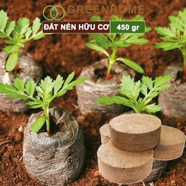 Đất nén hữu cơ