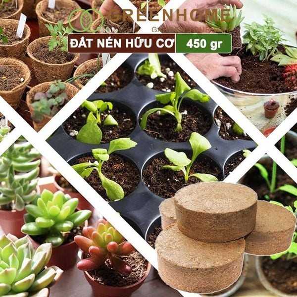 Đất nén hữu cơ