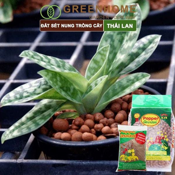 Đất sét nung trồng cây Thái Lan, bao 1lít size S 2-5mm, trồng sen đá, phong lan, sứ, thuỷ canh |Greenhome