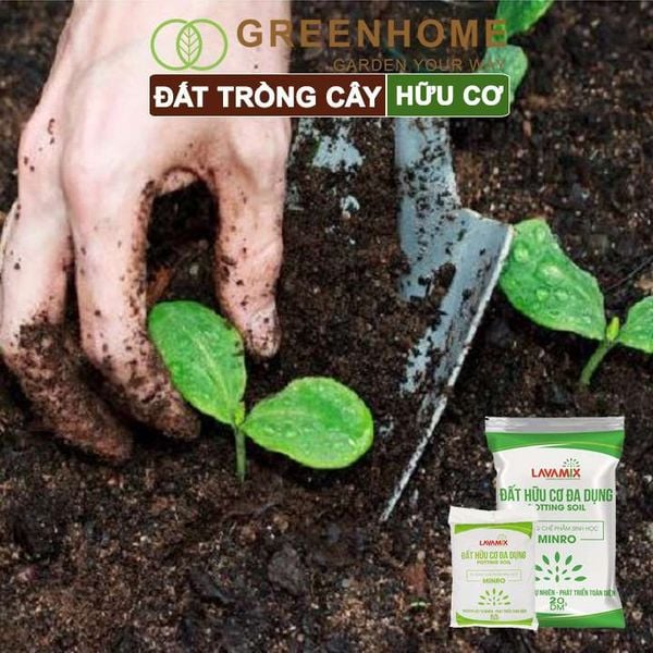 Đất trồng cây Lavamix, hữu cơ trồng rau, hoa, kiểng, tiện lợi, dễ sử dụng,  |Greenhome