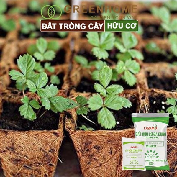 Đất trồng cây Lavamix, hữu cơ trồng rau, hoa, kiểng, tiện lợi, dễ sử dụng,  |Greenhome