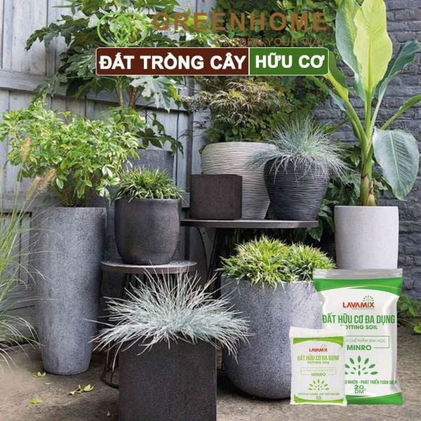 Đất trồng cây Lavamix, hữu cơ trồng rau, hoa, kiểng, tiện lợi, dễ sử dụng,  |Greenhome