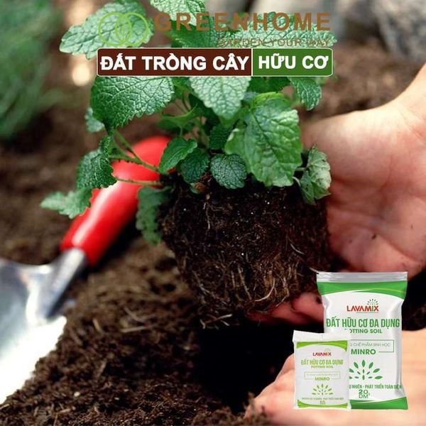 Đất trồng cây Lavamix, hữu cơ trồng rau, hoa, kiểng, tiện lợi, dễ sử dụng,  |Greenhome
