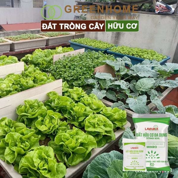 Đất trồng cây Lavamix, hữu cơ trồng rau, hoa, kiểng, tiện lợi, dễ sử dụng,  |Greenhome