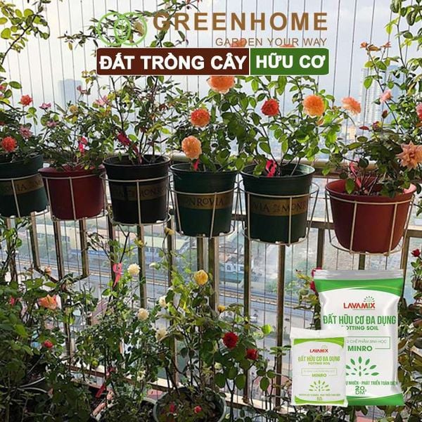 Đất trồng cây Lavamix, hữu cơ trồng rau, hoa, kiểng, tiện lợi, dễ sử dụng,  |Greenhome