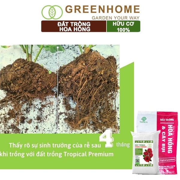 Đất trồng hoa hồng hữu cơ, trộn sẵn, đầy đủ dinh dưỡng, kháng bệnh tốt, sai hoa, bông to |Greenhome
