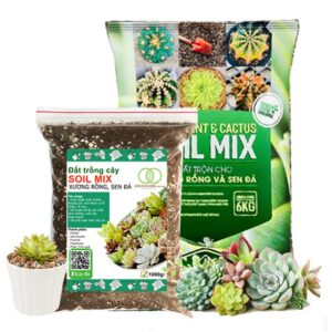 Đất Trồng Sen Đá, Soil Mix, Trộn Sẵn, Tiện Lợi, Đầy Đủ Dinh Dưỡng, Thoát Nước Tốt, Cây Nhanh Lớn