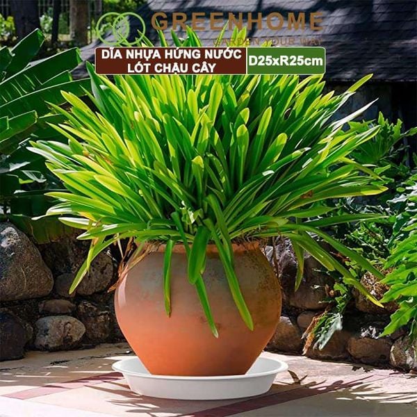 Dĩa nhựa lót chậu cây, R25cm, nhựa nguyên sinh, bền, đẹp, nhiều hình dạng lựa chọn | Greenhome
