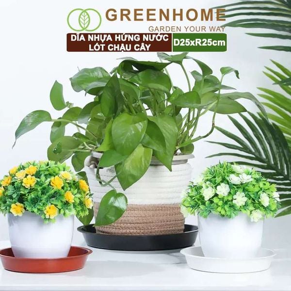 Dĩa nhựa lót chậu cây, R25cm, nhựa nguyên sinh, bền, đẹp, nhiều hình dạng lựa chọn | Greenhome