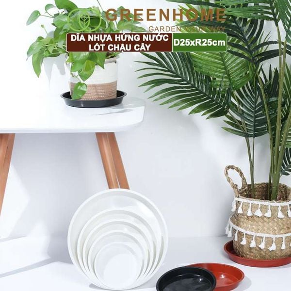 Dĩa nhựa lót chậu cây, R25cm, nhựa nguyên sinh, bền, đẹp, nhiều hình dạng lựa chọn | Greenhome