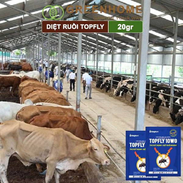 Thuốc diệt ruồi Topfly 10wg Greenhome, gói 20gr, thu hút manh, diệt ruồi nhanh, hiệu quả, an toàn, tiết kiệm