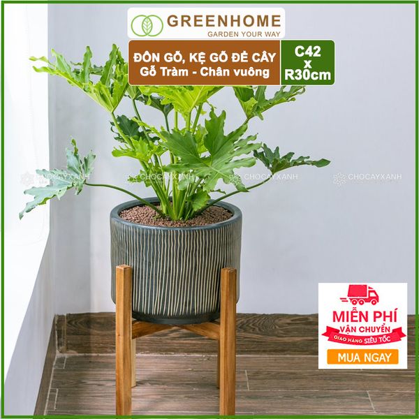 Đôn gỗ, kệ kê chậu cây nội thất bằng gỗ Tràm chân Vuông C42xR32cm