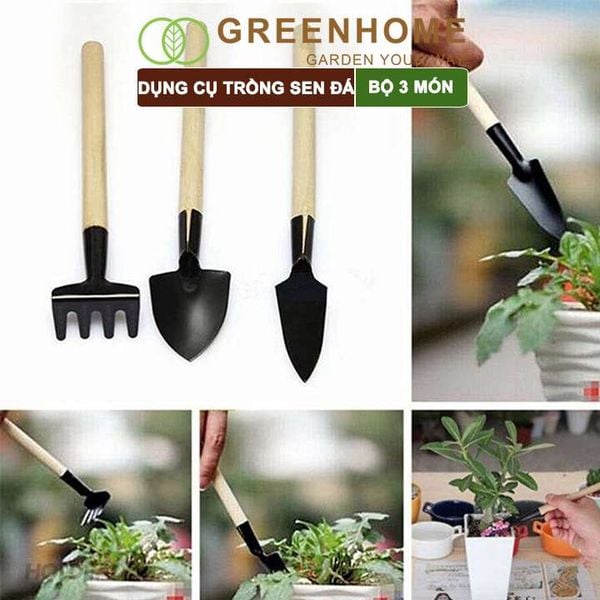 Dụng cụ làm vườn mini, 3 món, tiện lợi, chuyên dụng trồng sen đá, cán gỗ |Greenhome