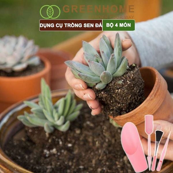 Dụng cụ làm vườn mini, 4 món, chuyên dụng cụ trồng sen đá, xương rồng, tiểu cảnh mini |Greenhome