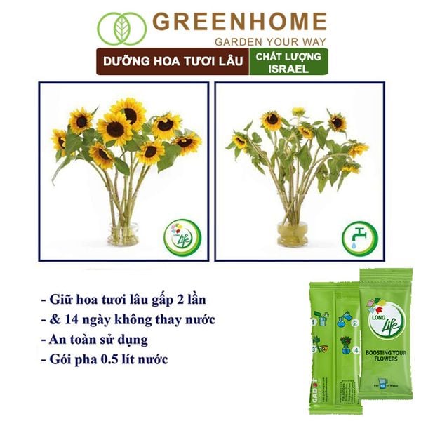 Dưỡng hoa tươi lâu longlife Greenhome, gói 5gr, lâu tàn, nở bông to, không bị hôi nước