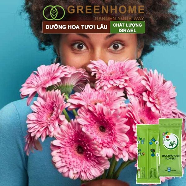 Dưỡng hoa tươi lâu longlife Greenhome, gói 5gr, lâu tàn, nở bông to, không bị hôi nước