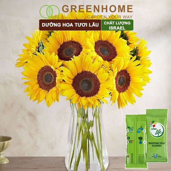 Dưỡng hoa tươi lâu longlife Greenhome, gói 5gr, lâu tàn, nở bông to, không bị hôi nước