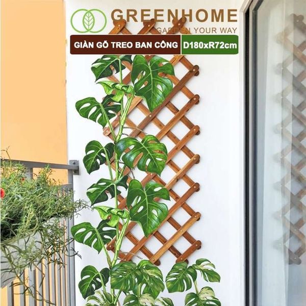 Giàn gỗ treo ban công, R72xC180cm, gỗ tràm siêu bền, co giản được, làm khung hoa hồng leo, bông giấy |Greenhome