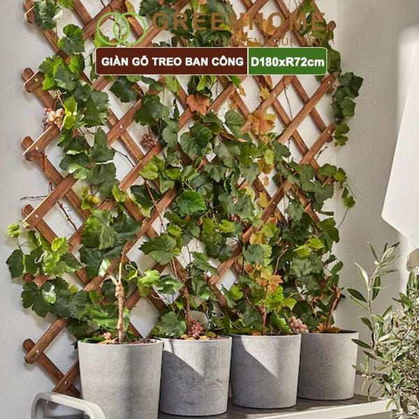 Giàn gỗ treo ban công, R72xC180cm, gỗ tràm siêu bền, co giản được, làm khung hoa hồng leo, bông giấy |Greenhome