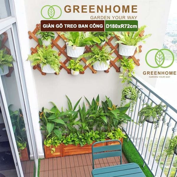 Giàn gỗ treo ban công, R72xC180cm, gỗ tràm siêu bền, co giản được, làm khung hoa hồng leo, bông giấy |Greenhome
