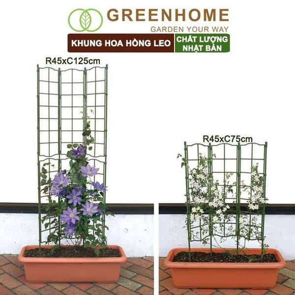 Giàn leo cho cây Nhật Bản, Daim, màu xanh, khung đỡ hoa, dễ lắp ráp, độ bền 5 năm |Greenhome