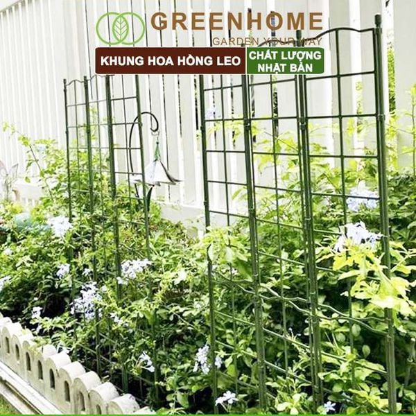 Giàn leo cho cây Nhật Bản, Daim, màu xanh, khung đỡ hoa, dễ lắp ráp, độ bền 5 năm |Greenhome