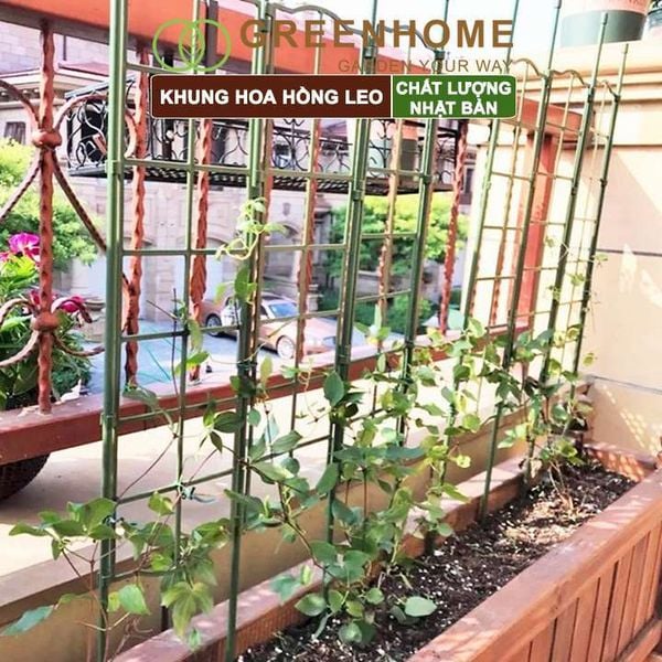 Giàn leo cho cây Nhật Bản, Daim, màu xanh, khung đỡ hoa, dễ lắp ráp, độ bền 5 năm |Greenhome