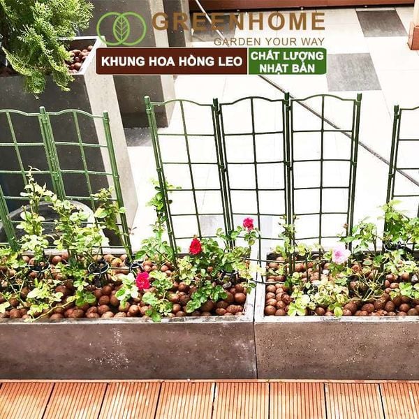 Giàn leo cho cây Nhật Bản, Daim, màu xanh, khung đỡ hoa, dễ lắp ráp, độ bền 5 năm |Greenhome