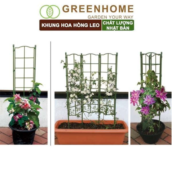 Giàn leo cho cây Nhật Bản, Daim, màu xanh, khung đỡ hoa, dễ lắp ráp, độ bền 5 năm |Greenhome