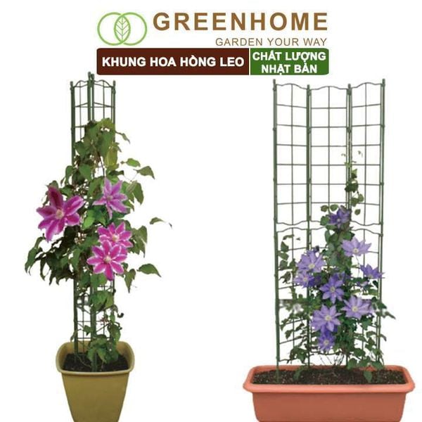 Giàn leo cho cây Nhật Bản, Daim, màu xanh, khung đỡ hoa, dễ lắp ráp, độ bền 5 năm |Greenhome