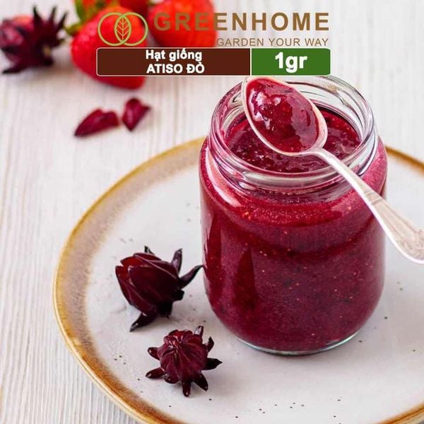 Hạt giống Atiso đỏ, gói 1gr, dễ trồng, dinh dưỡng, năng suất cao