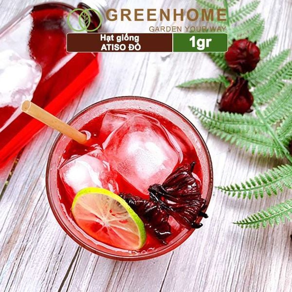 Hạt giống Atiso đỏ, gói 1gr, dễ trồng, dinh dưỡng, năng suất cao