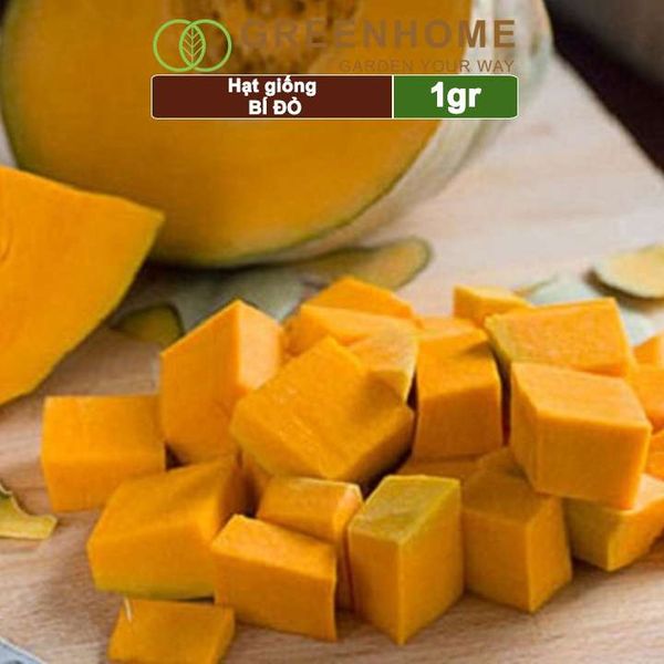 Hạt giống Bí đỏ Greenhome, gói 1gr, trái sai, thịt nhiều, trồng quanh năm T03