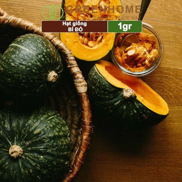 Hạt giống Bí đỏ Greenhome, gói 1gr, trái sai, thịt nhiều, trồng quanh năm T03