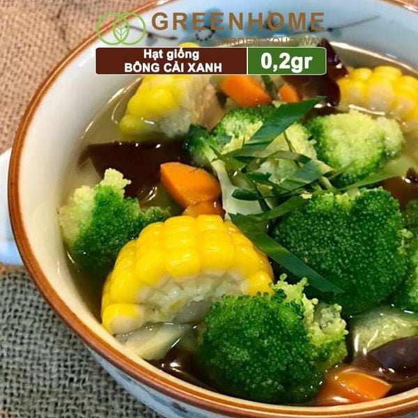 Hạt giống Súp lơ xanh