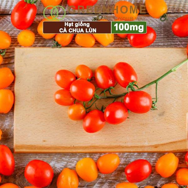 Hạt giống cà chua chịu nhiệt