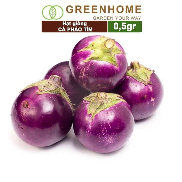 Hạt giống Cà pháo tím